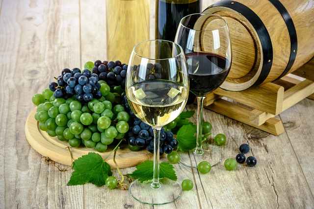 Tout savoir sur la viticulture