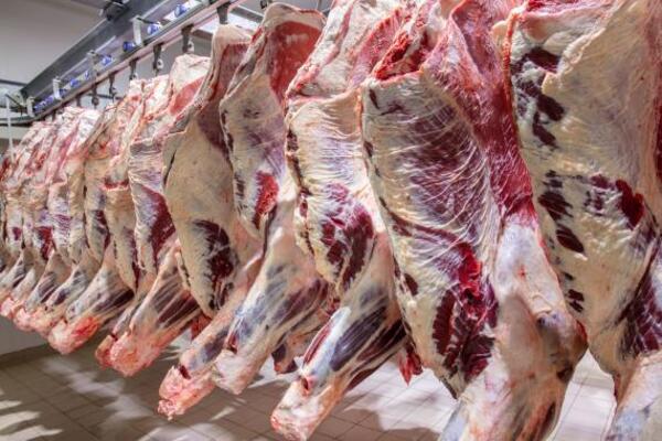 Les essentiels à connaître sur la conservation de la viande dans les restaurants