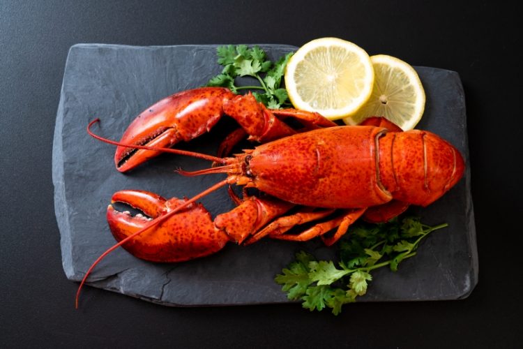 3 recettes de homard qui plairont à vos enfants