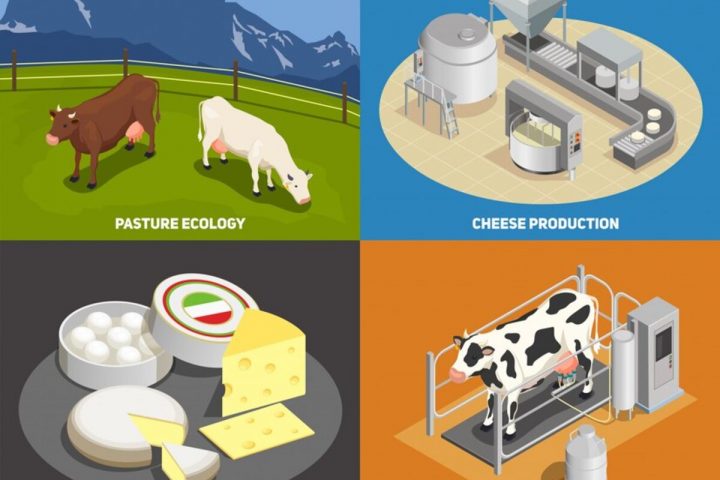 Quels sont les points forts et les défis de la production laitière bio ?
